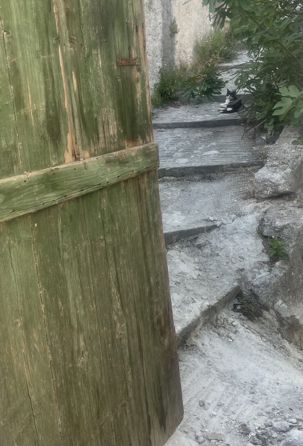 Πράσινη ξύλινη πόρτα, πέτρινα σκαλιά και μια γάτα